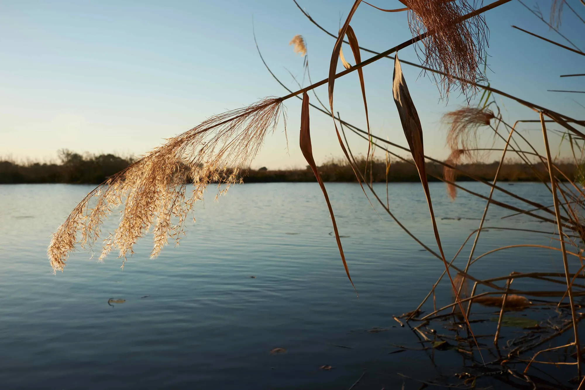 Kwando River at Camp Kwando