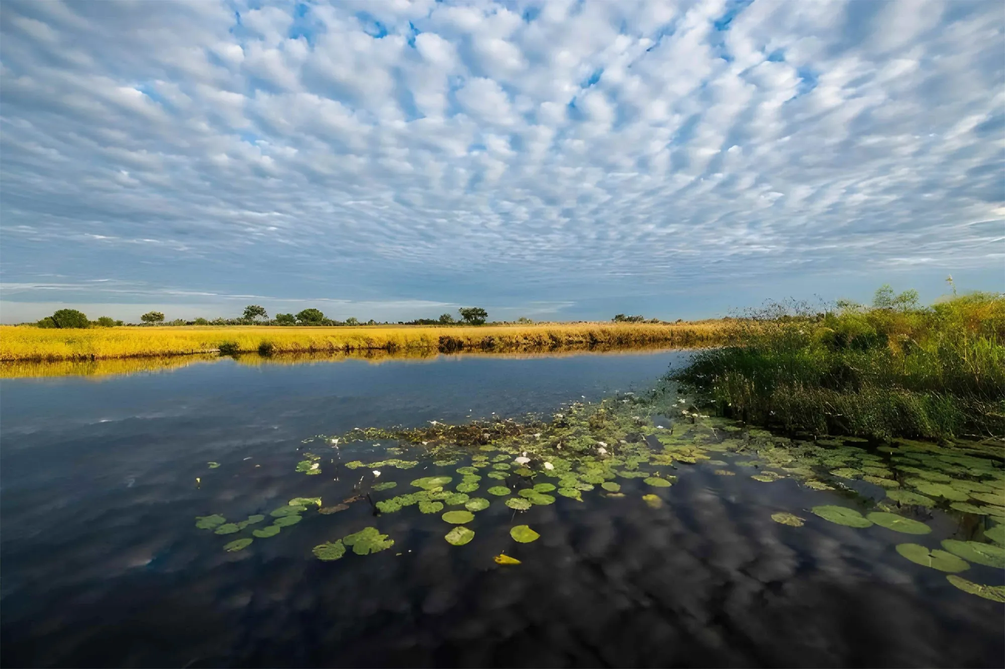 Kwando Delta